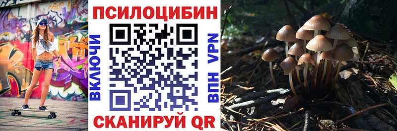 MEGA ссылка  Талдом  Псилоцибиновые грибы Cubensis  цены  